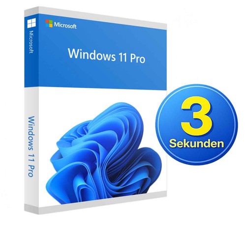 Windows pro original lizenz - windows, 11